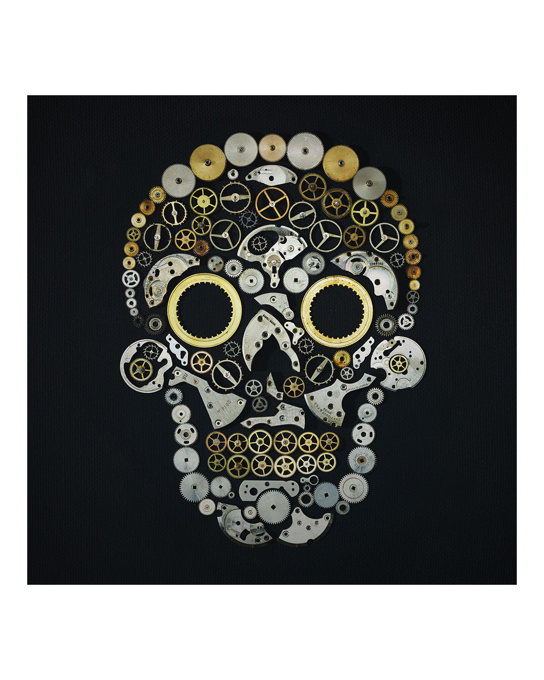 Skeleton