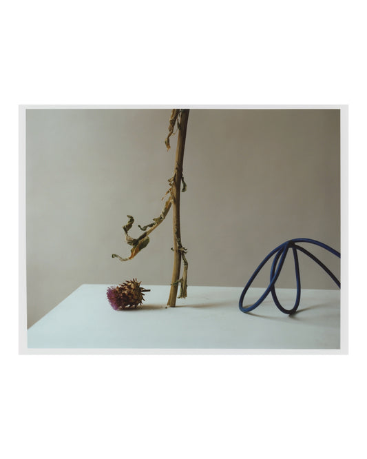 Dead Garden Blue Cable