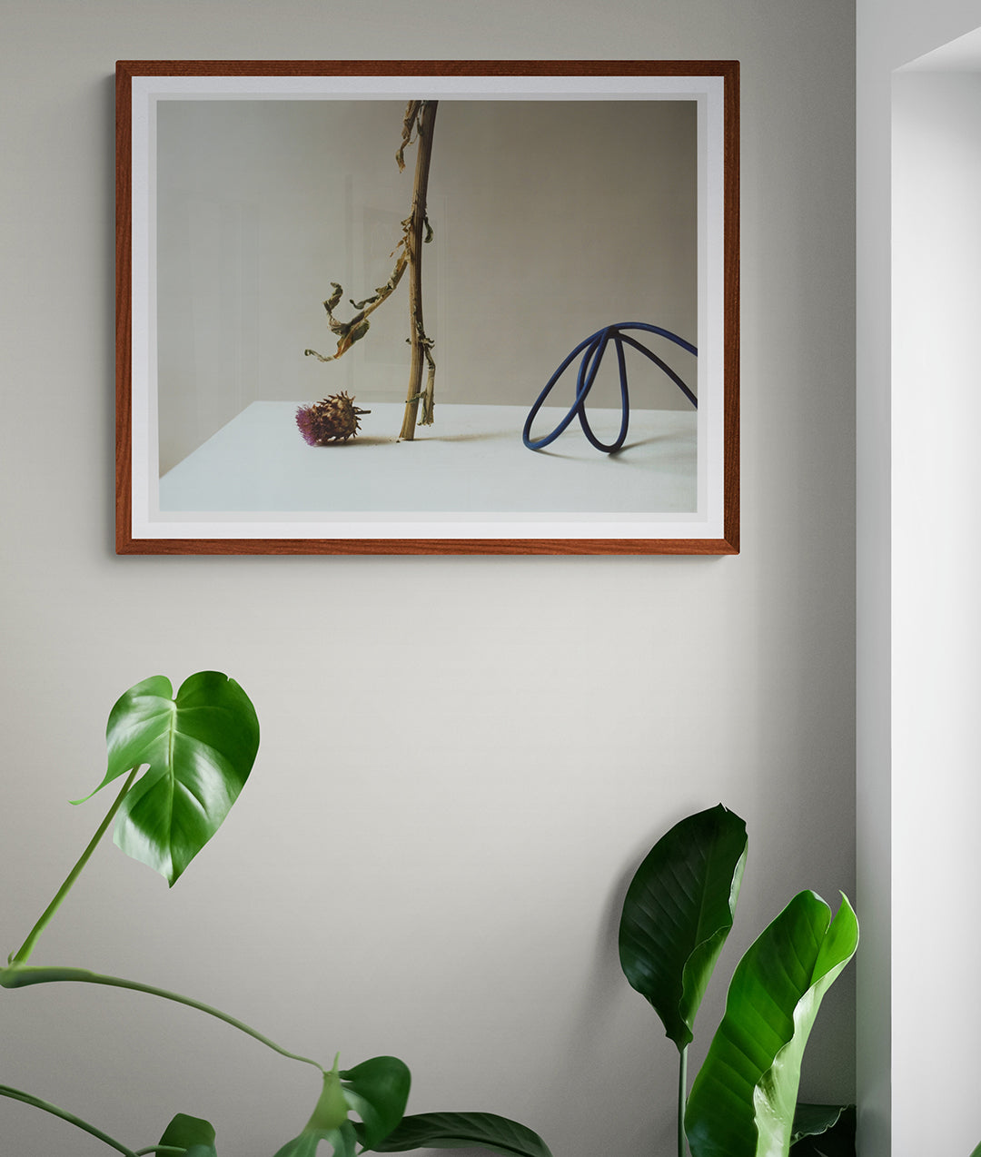 Dead Garden Blue Cable