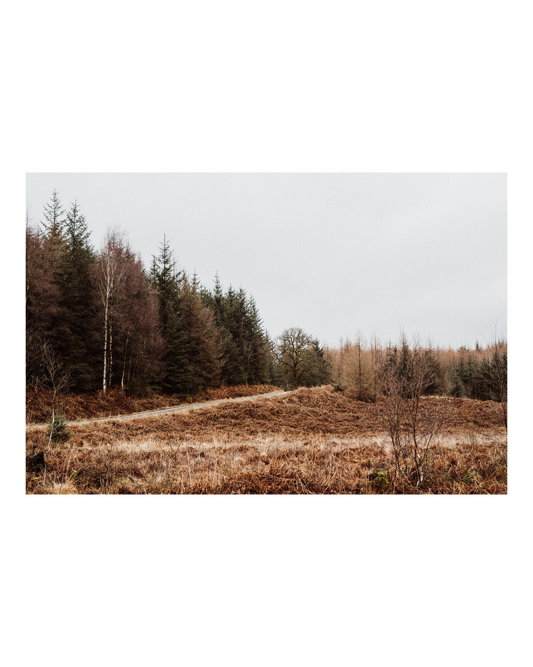 Path