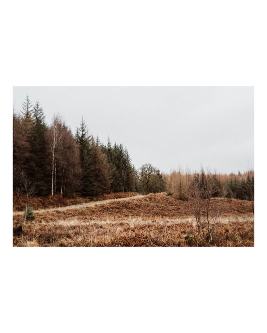 Path