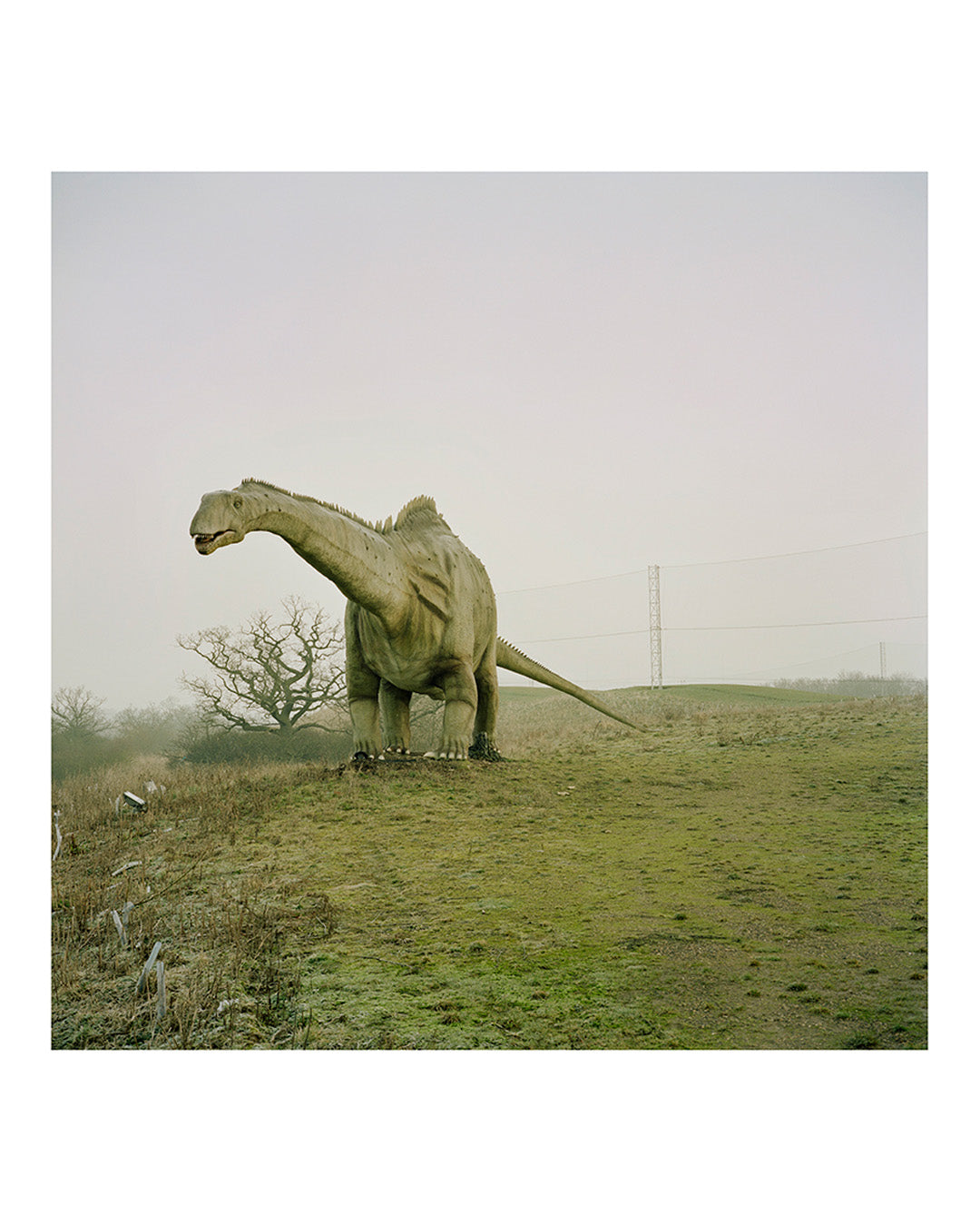 Dinosaur, Sidcup