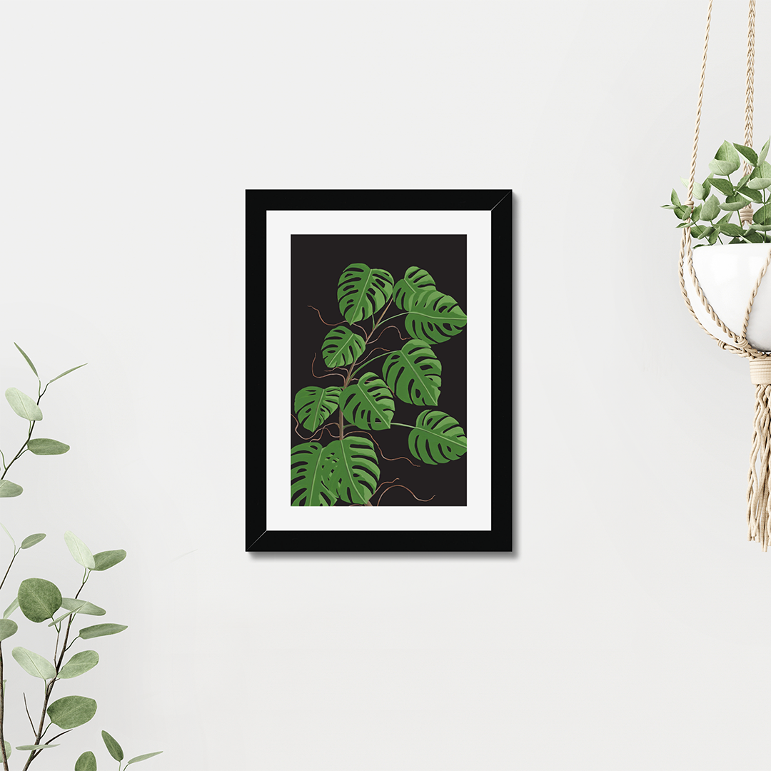 Monstera