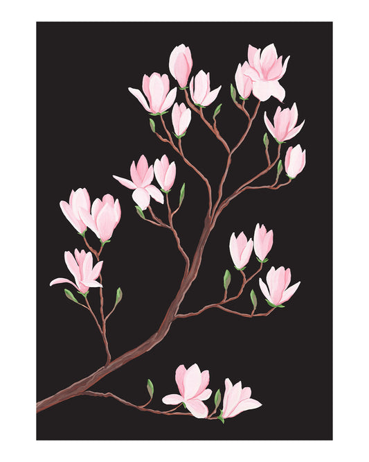Magnolia