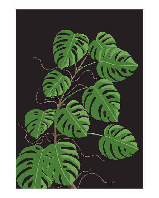 Monstera