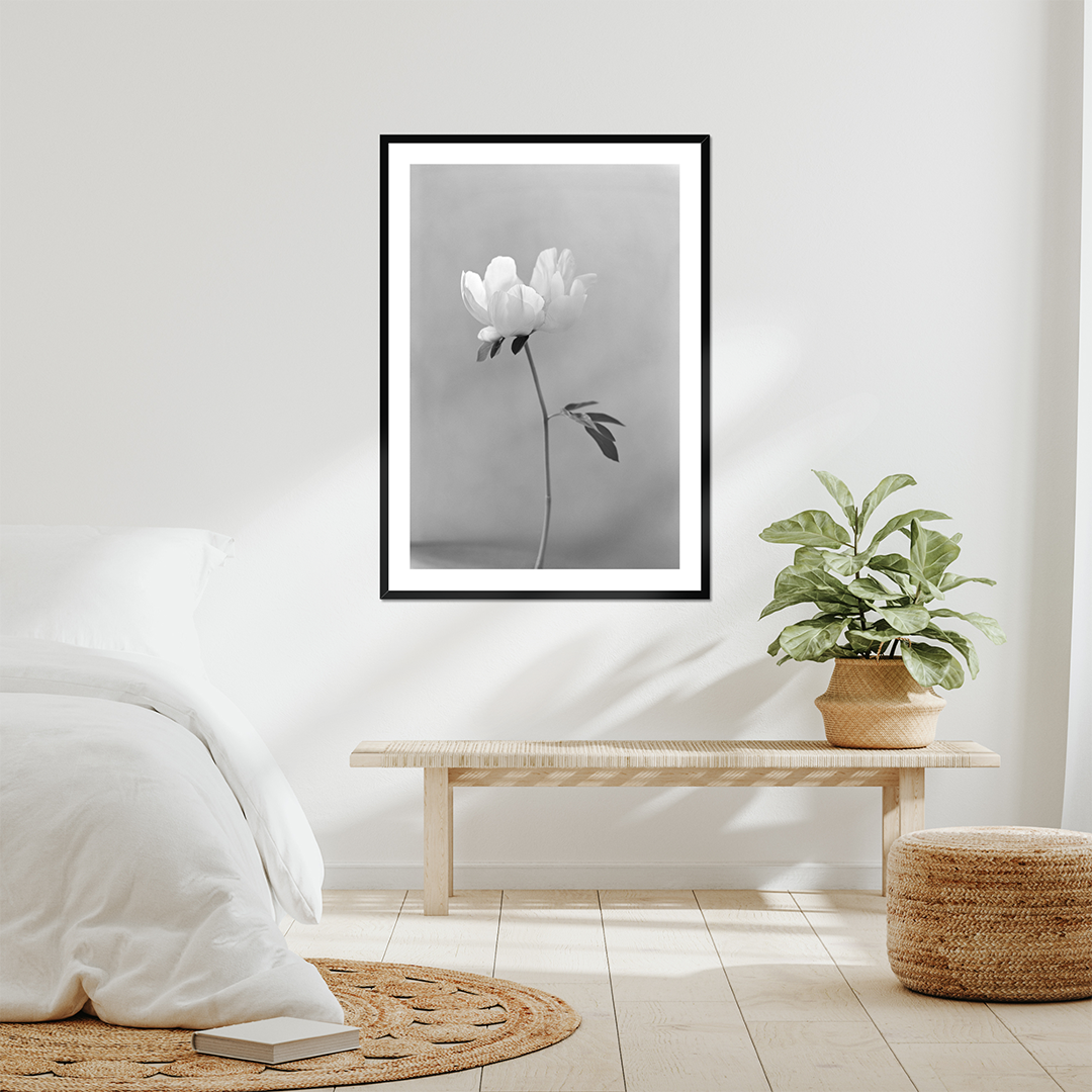 Peony
