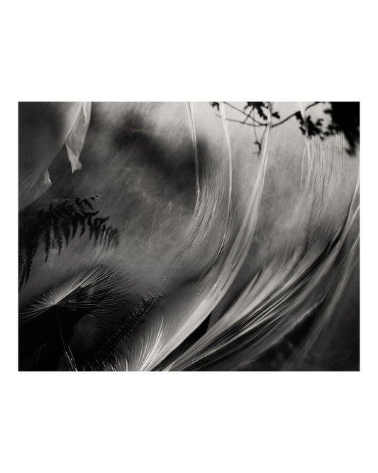 Wind stretched daydream